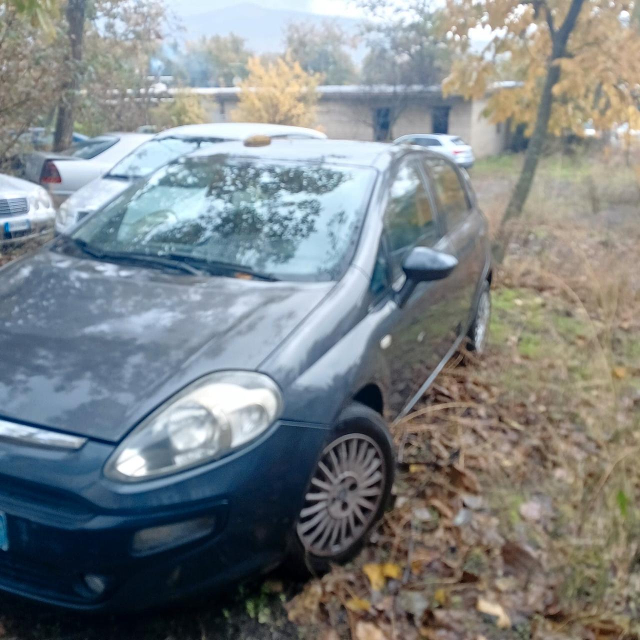 Fiat Punto Evo Punto Evo 1.3 Mjt 75 CV 5 porte Dynamic