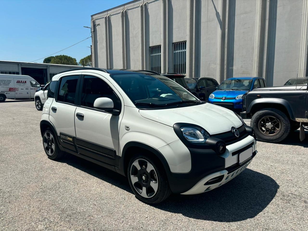 Fiat Panda 1.0 FireFly S&S Hybrid Pandina - NEOPATENTATI