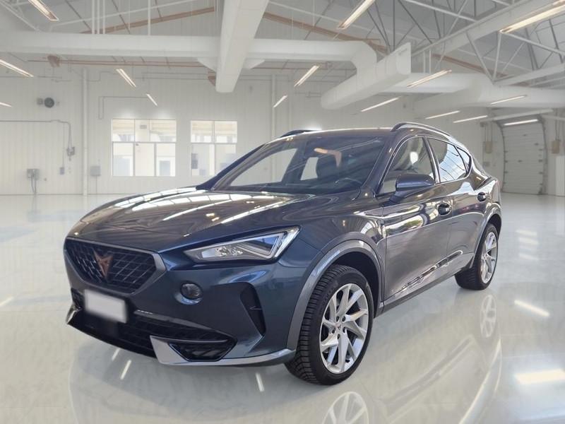 CUPRA FORMENTOR 2.0 TDI 4DRIVE DSG SUV