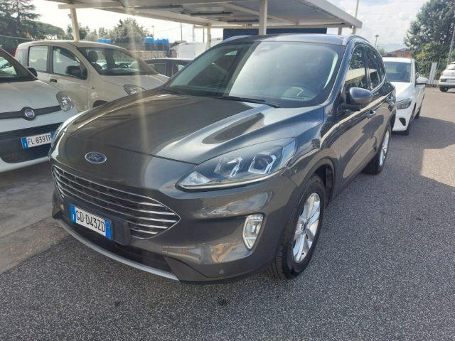 FORD Kuga 1.5 EcoBlue 120 CV 2WD Titanium Business