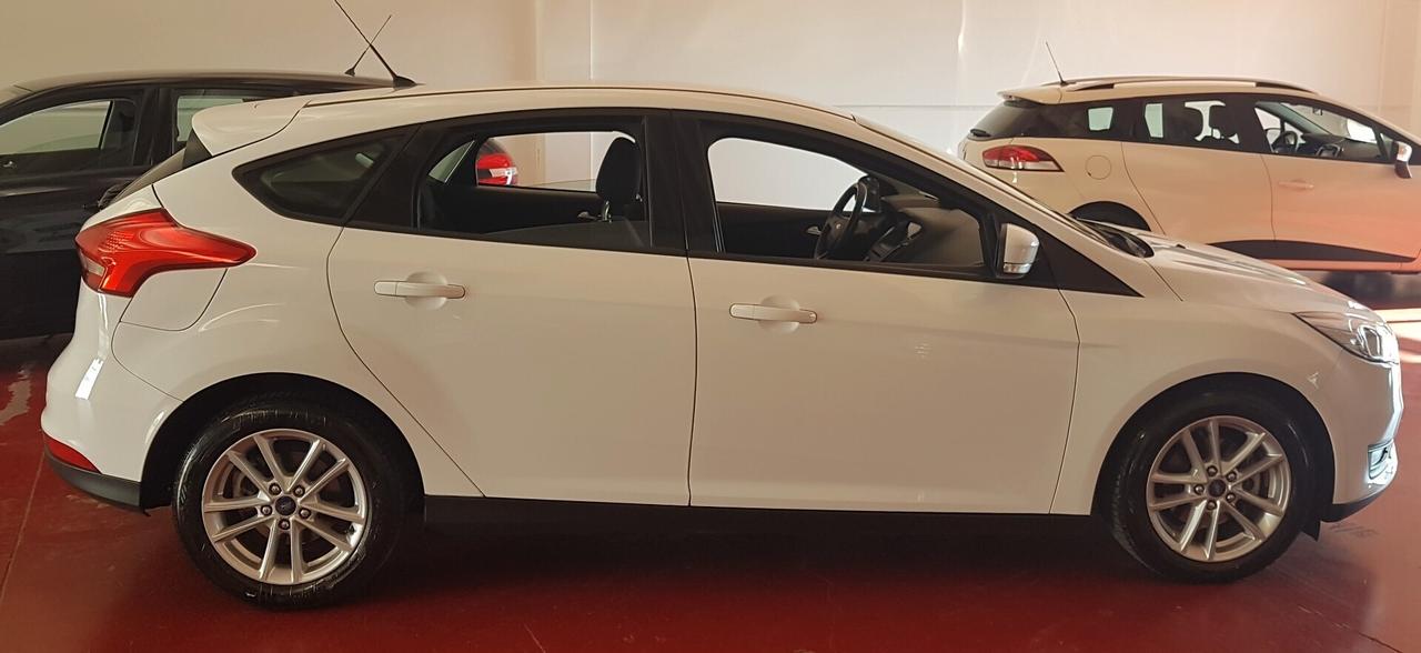 Ford Focus 1.5 TDCi 95 CV Start&Stop Business GAR. 24 MESI