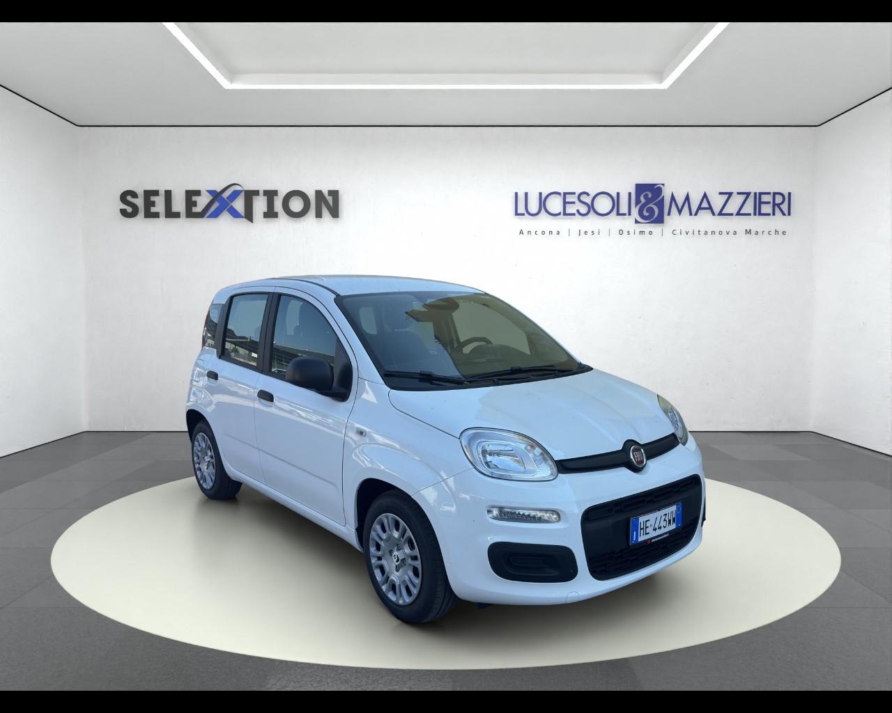 FIAT Pandina - Pandina 1.0 FireFly 65 CV Hybrid Icon