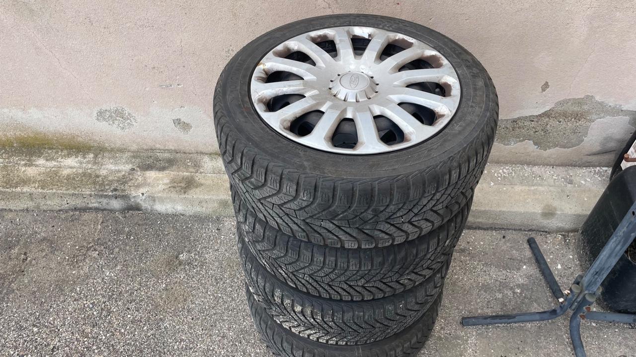 Ford Fiesta 1.5 TDCi 75CV 5 porte Business