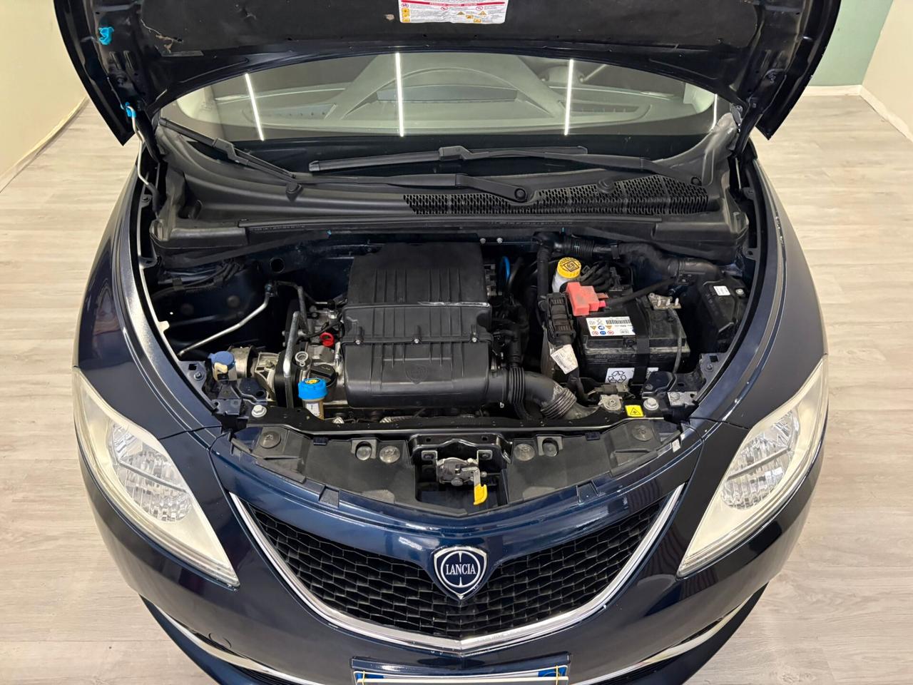 Lancia Ypsilon 1.200cc 69 CV 5 porte Platinum