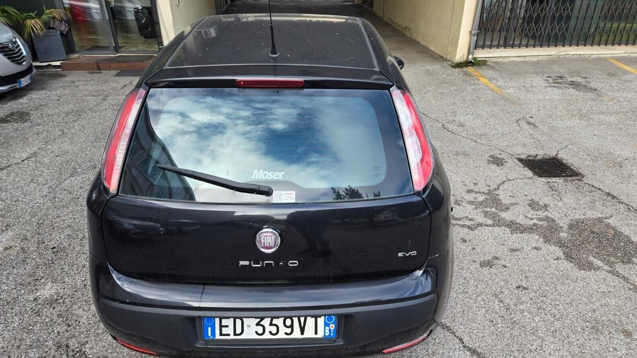 Fiat Punto Evo Punto Evo 1.4 5 porte Dynamic