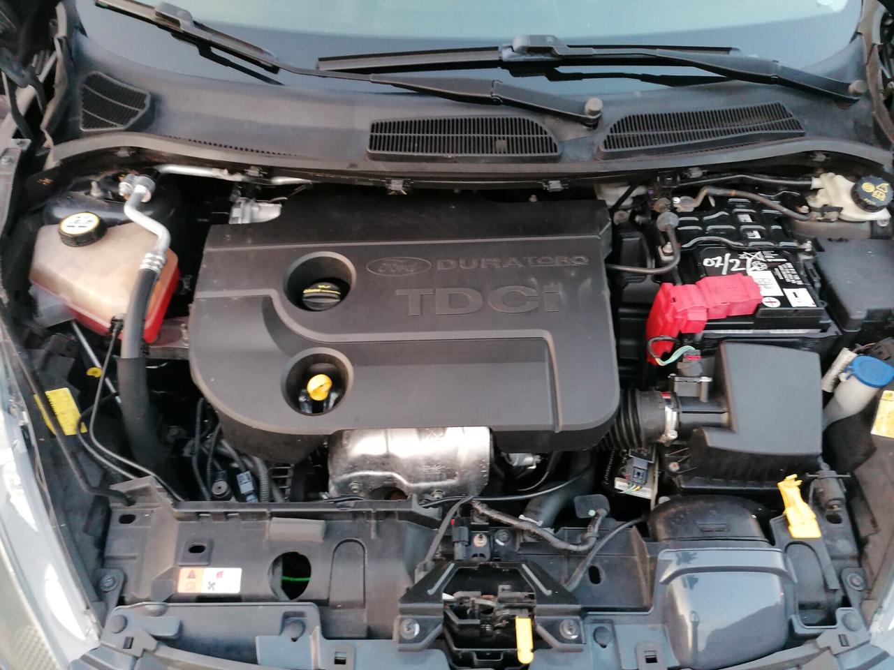 Ford Fiesta Ikon 1.4 TDCi 70CV 5 porte