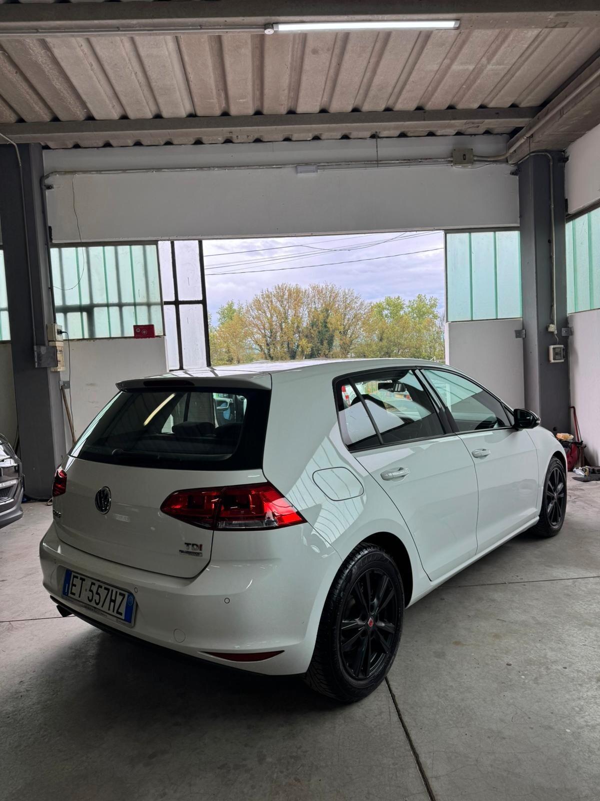Volkswagen Golf 1.6 TDI 5p. Highline BlueMotion Technology