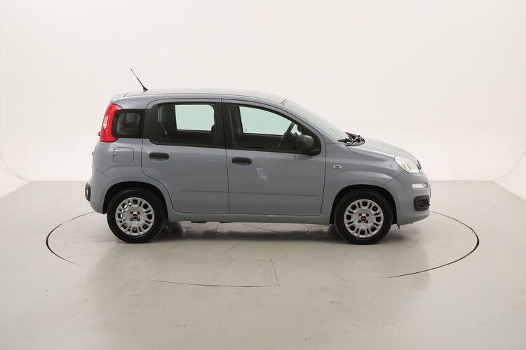 Fiat Panda Hybrid BR098690 1.0 Mild Hybrid 70CV