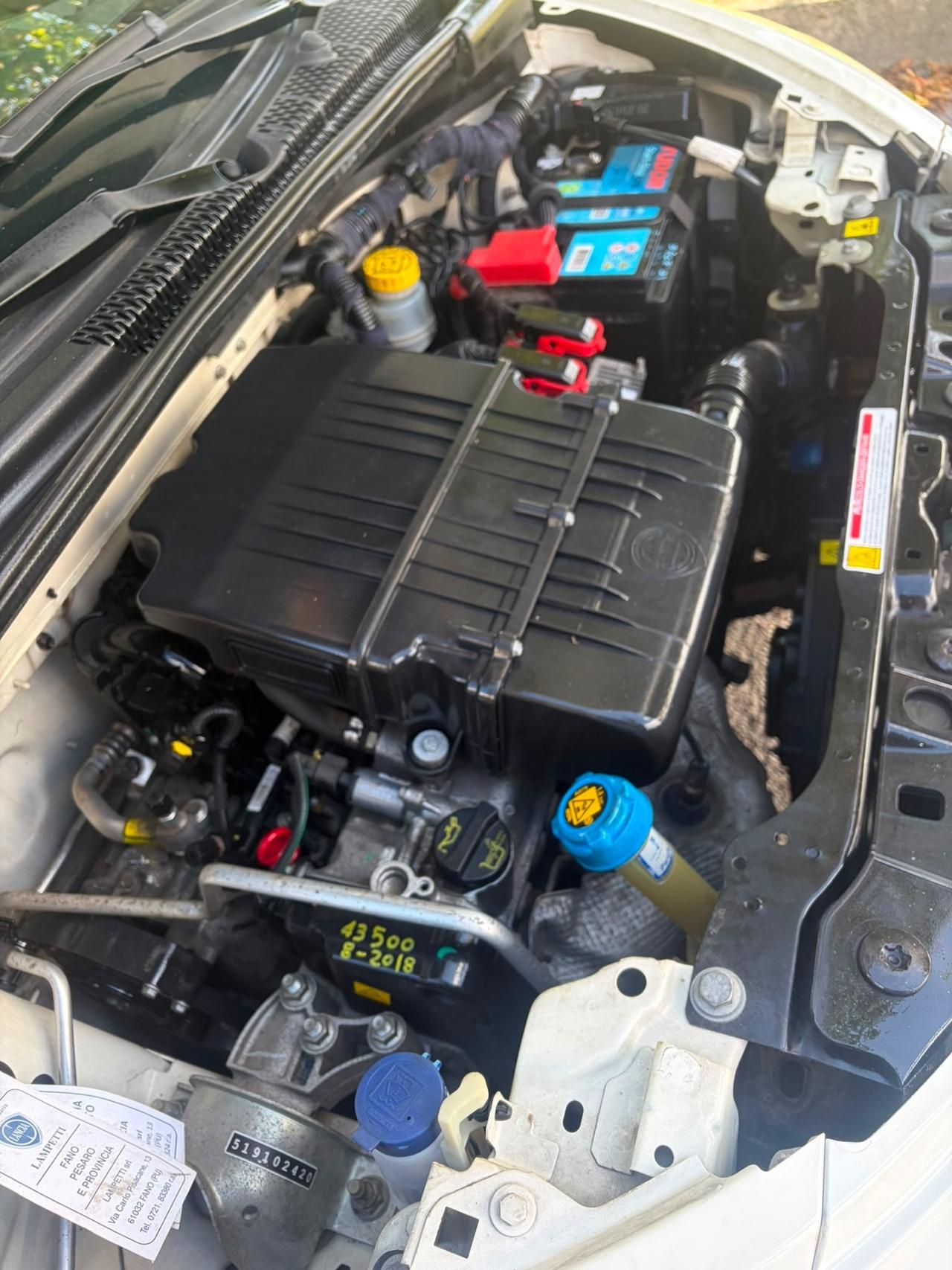 Lancia Ypsilon 1.2 elefantino