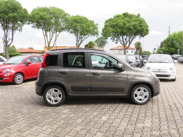 FIAT Panda 1.0 FireFly S&S Hybrid #Barre #Bump #Vetri Scuri