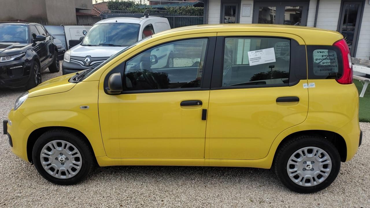 Fiat Panda Pandina 1.0 FireFly 70 CV Hybrid Pop