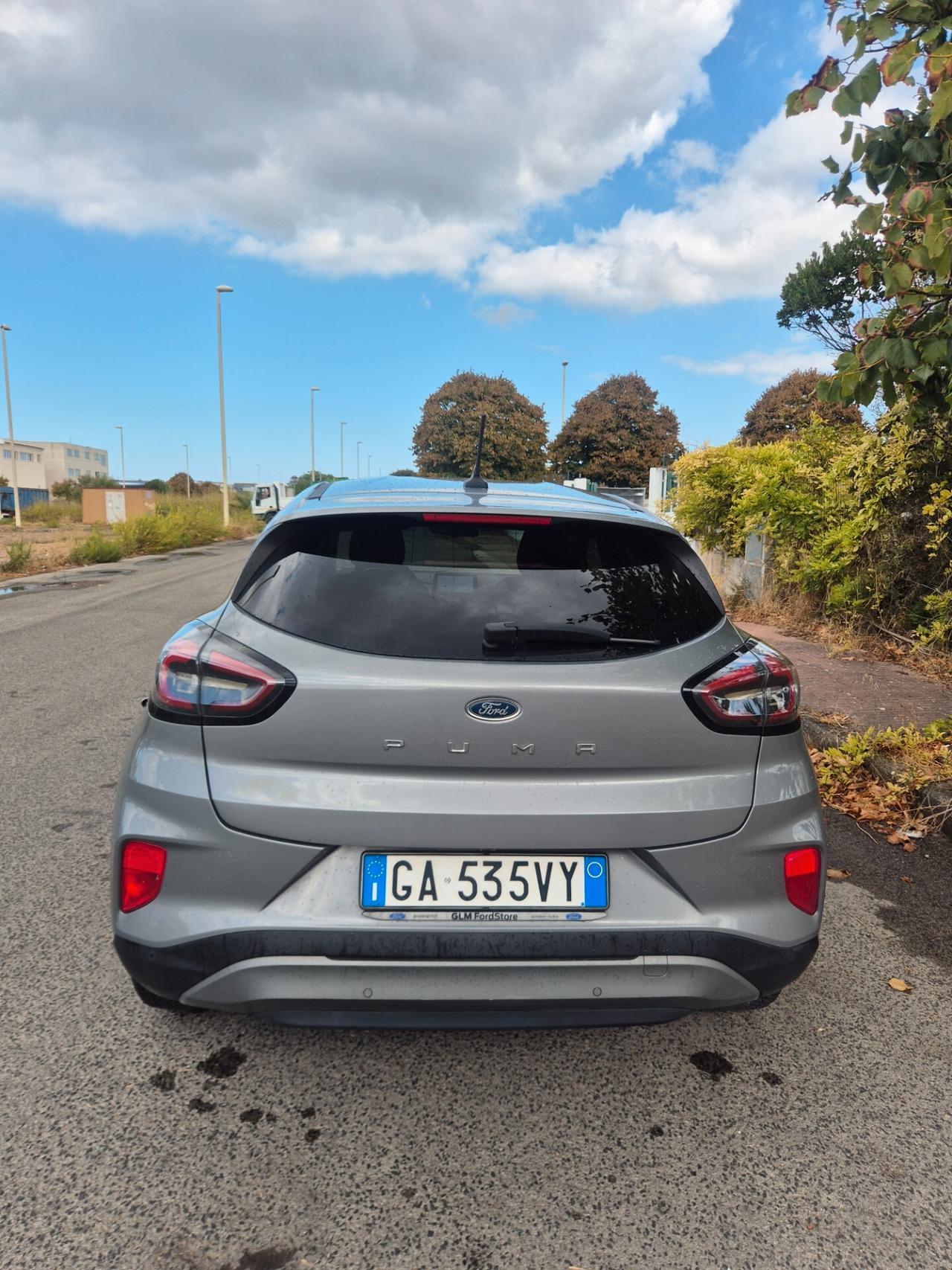 Ford Puma 1.5 EcoBlue 120 CV S&S Titanium