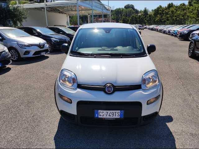 FIAT Panda 1.0 firefly hybrid s&s 70cv