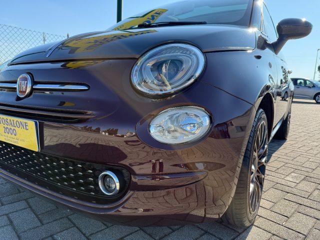FIAT 500 1.2 Collezione NEOPATENTATI / PREZZO REALE