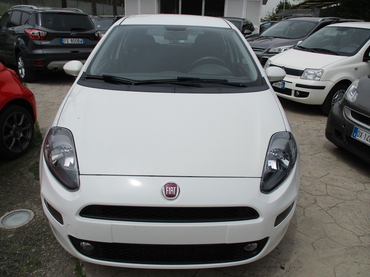 Fiat Punto 1.4 8v 5 Porte Natural Power Street