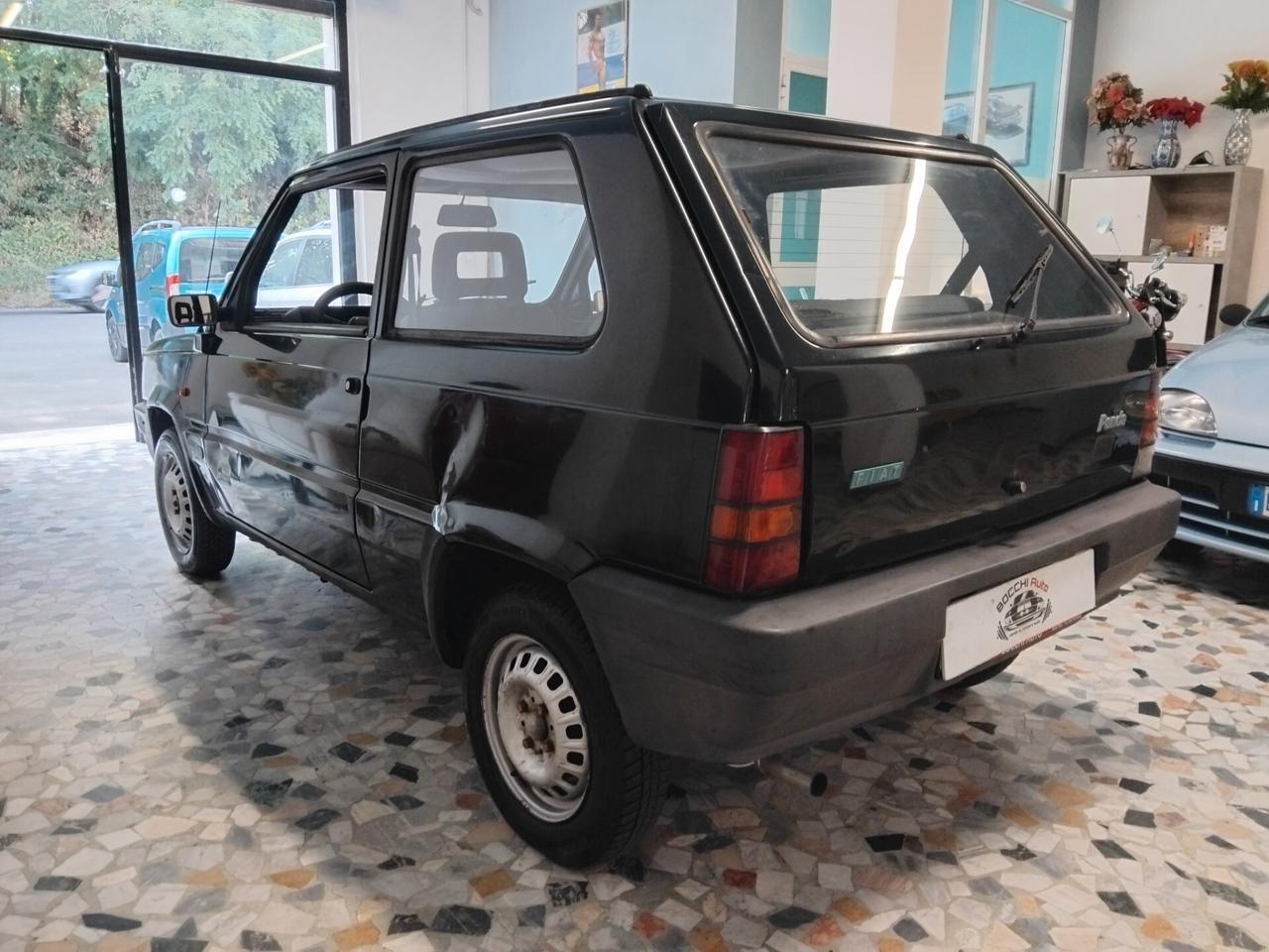 Fiat Panda 900 i.e. cat Young