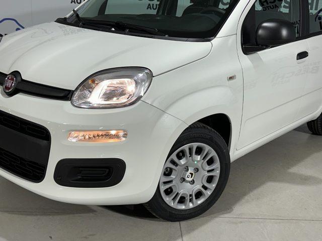 FIAT Panda 1.0 FireFly 70CV Hybrid 5P. MY25