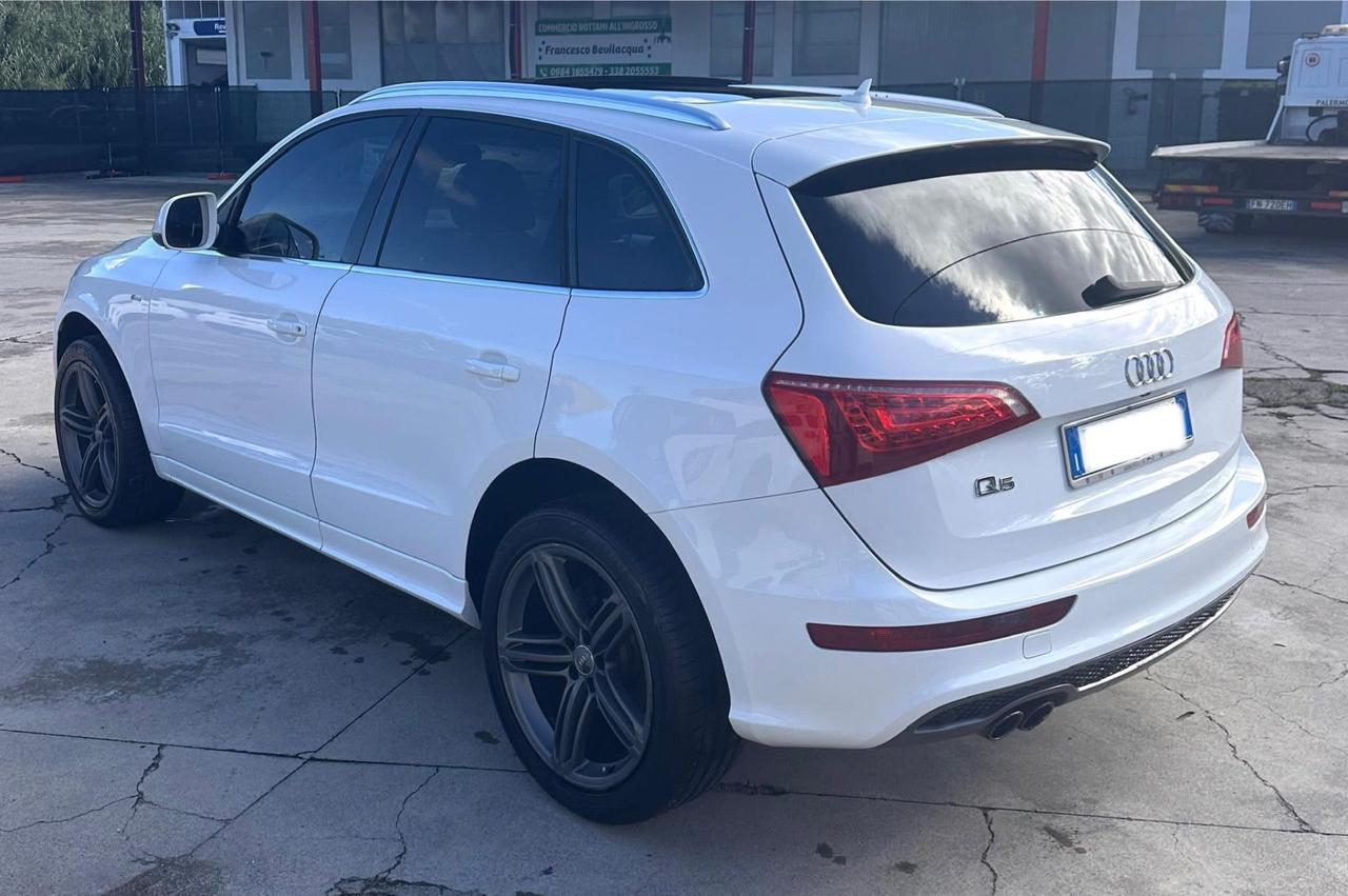 Audi Q5 2.0 TDI 170 CV quattro S tronic TETTO