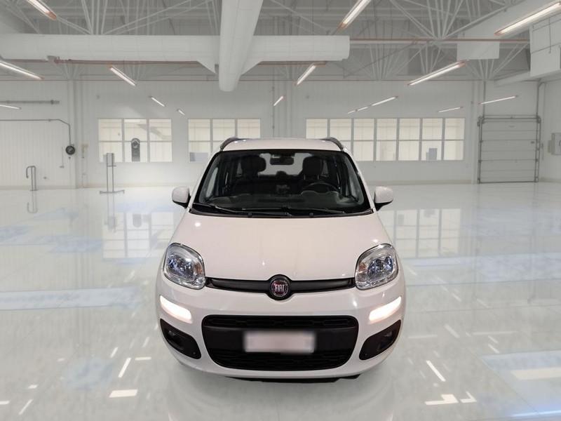FIAT PANDA 1.2 69 CV SES E6D-TEMP LOUNGE 5 PORTE BERLINA