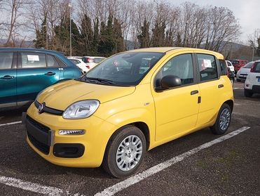 Fiat Panda PANDINA 1.0 65cv Hybrid ICON