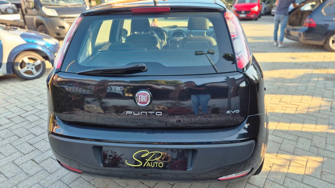 Fiat Punto Evo 1.3 Mjt 95 CV5pEURO5/catena appena cambiata /OK Neopatentati