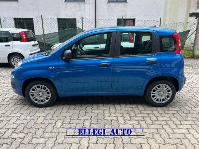 FIAT Panda PROMO FINANZIAMENTO 1.0 Hybrid Icon KM 0