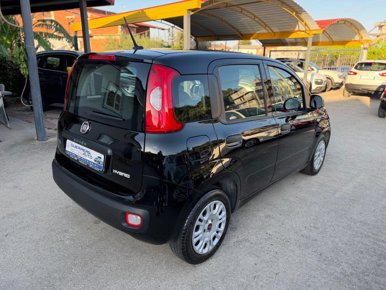 Fiat Panda 1.0 FireFly S&S Hybrid Km Certificati