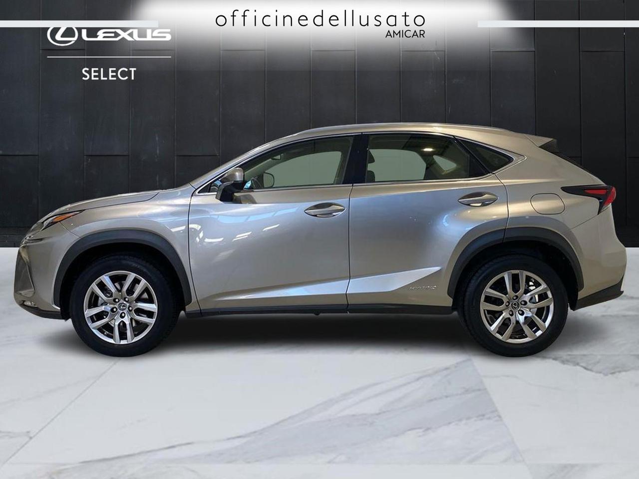 Lexus NX 300 2.5 hybrid business 4wd cvt