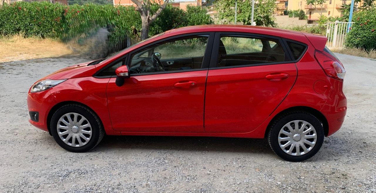 Ford Fiesta 1.4 5 porte Bz.- GPL Black & White Edition