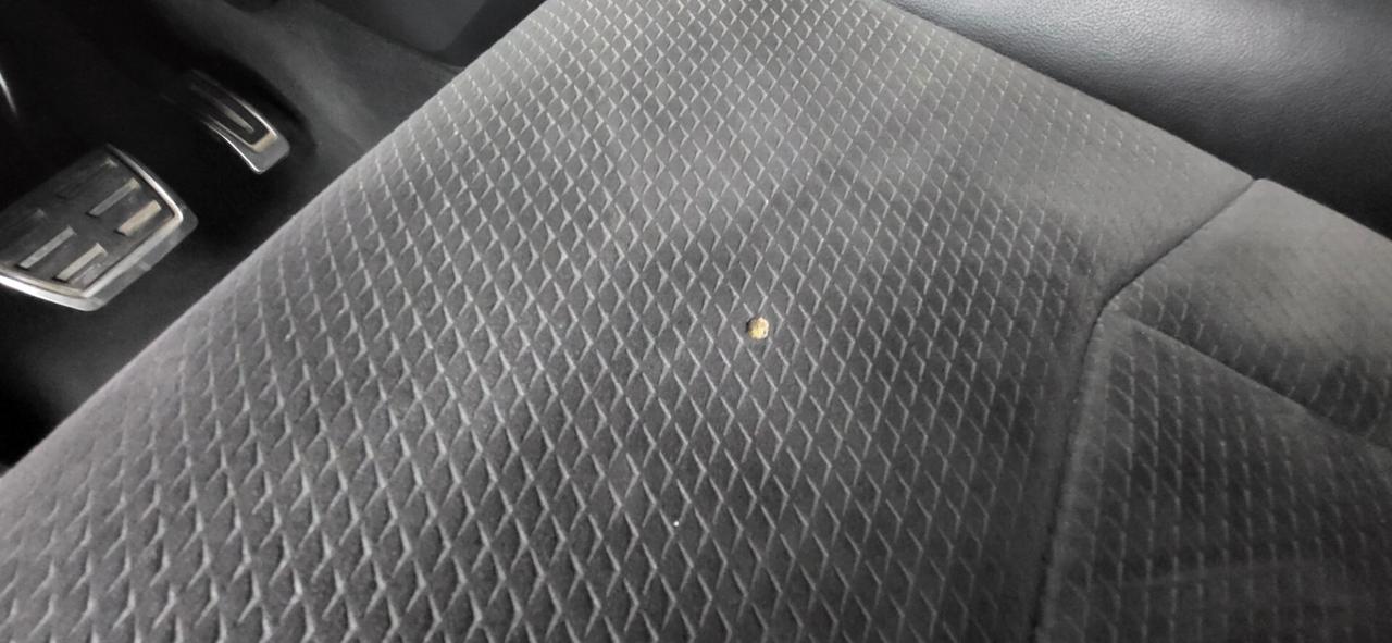 Audi Q8 50 TDI 286 CV quattro tiptronic Sport