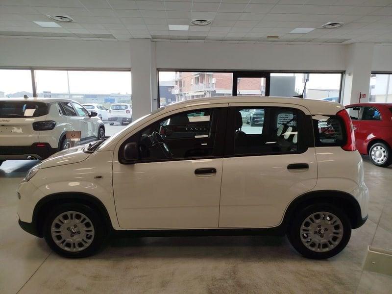 FIAT Panda 1.0 FireFly S&S Hybrid Pandina