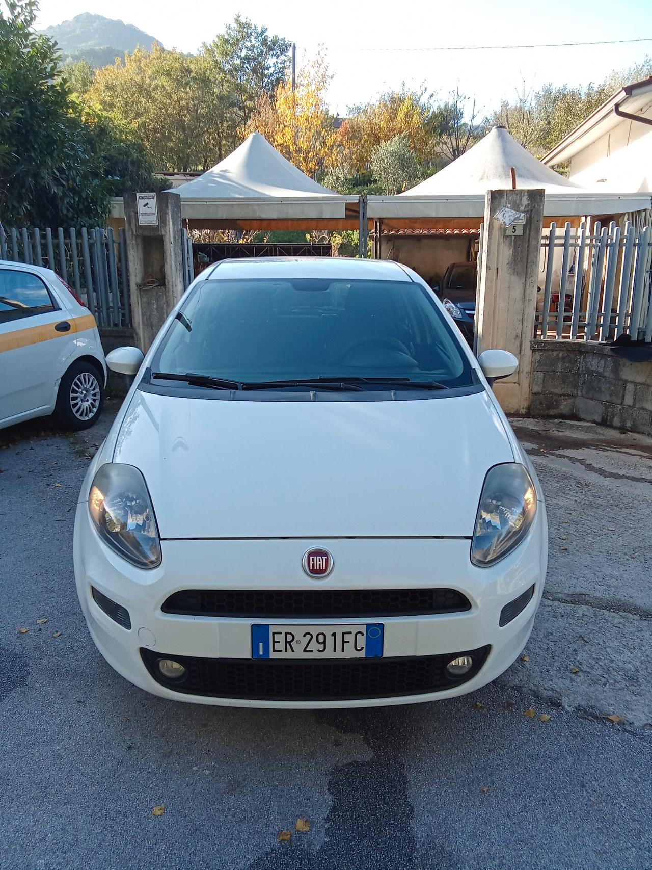 Fiat Punto 1.4 8V 5 porte Natural Power Street 013