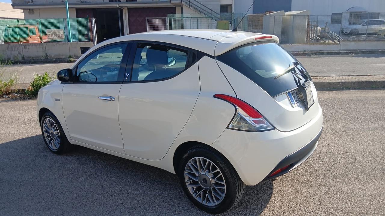Lancia Ypsilon 1.2 69 CV 5 porte Elefantino
