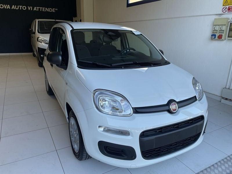 FIAT Panda Panda 1.0 FireFly S&S Hybrid Icon