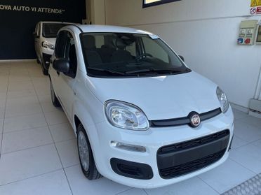 FIAT Panda Panda 1.0 FireFly S&S Hybrid Icon