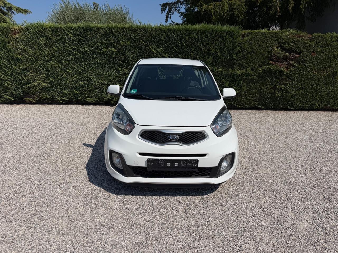 Kia Picanto 1.0 12V 3 porte Urban