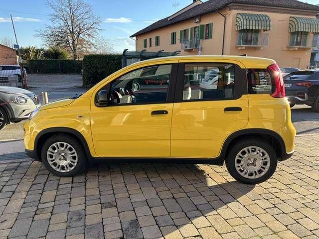 Fiat Panda 1.0 FireFly S&S Hybrid Pandina-LANE ASSIST-14"