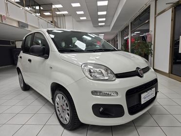 Fiat Panda 1.3 Multijet 95cv Easy - 2018 OK NEOPATENTATI