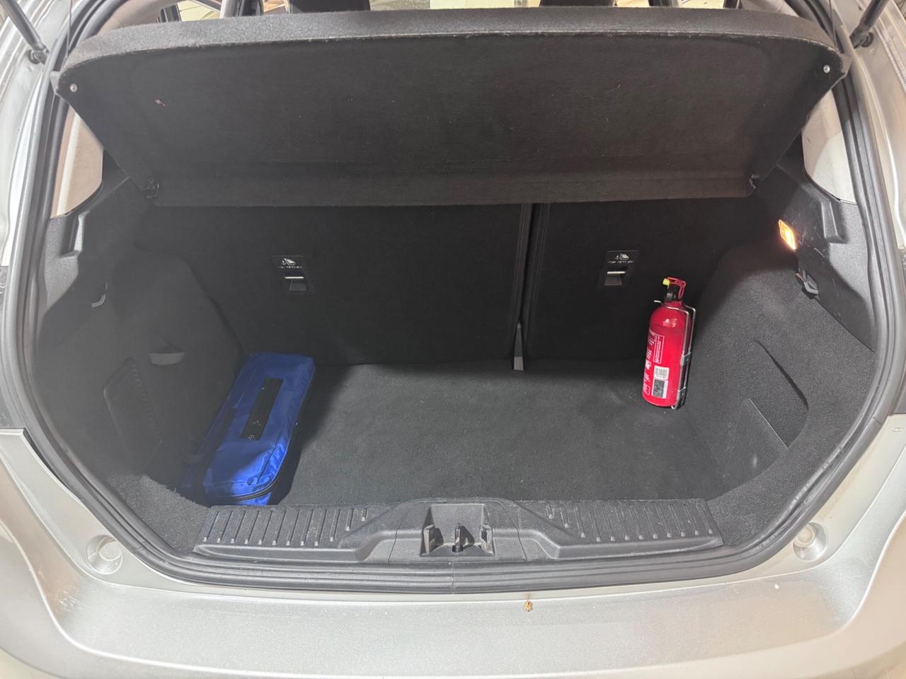 Ford Fiesta 1.0 Ecoboost 100 CV 5 porte Business High