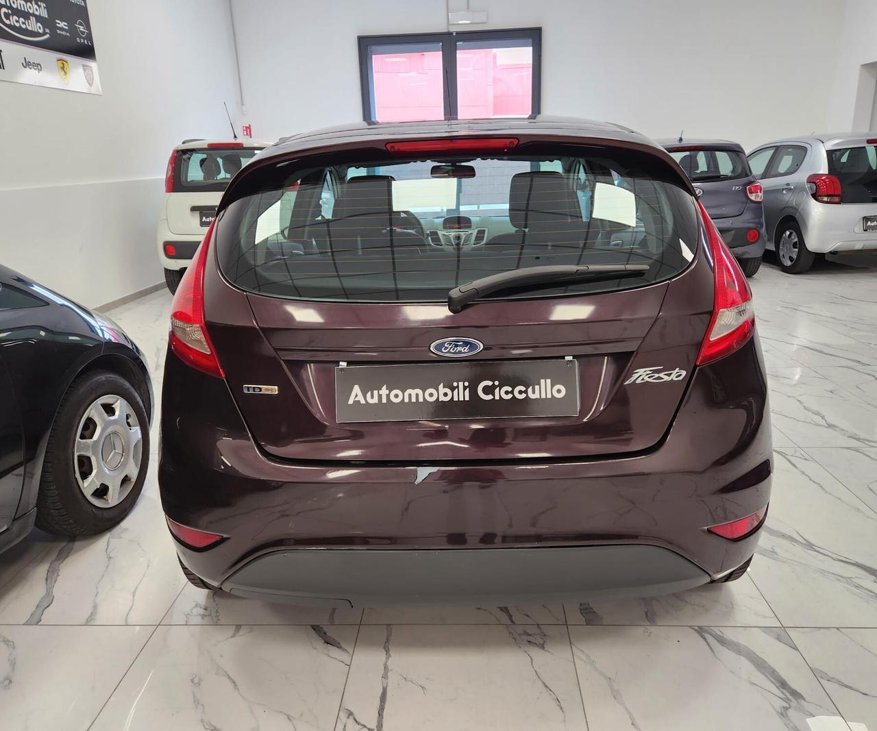 Ford Fiesta 1.4 TDCi 68CV 5 porte Titanium