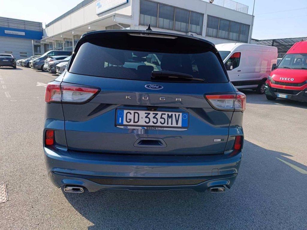 FORD Kuga 2.0 EcoBlue Hybrid 150 CV 2WD ST-Line del 2021