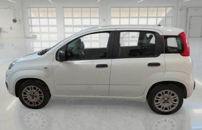 FIAT PANDA 1.2 69CV - Marzo 2019