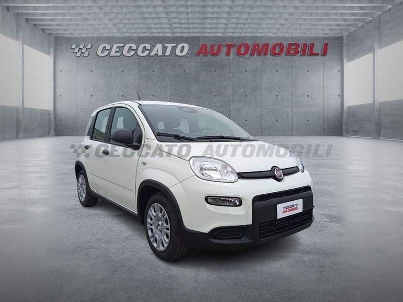 FIAT Panda 1.0 70cv Hybrid Panda