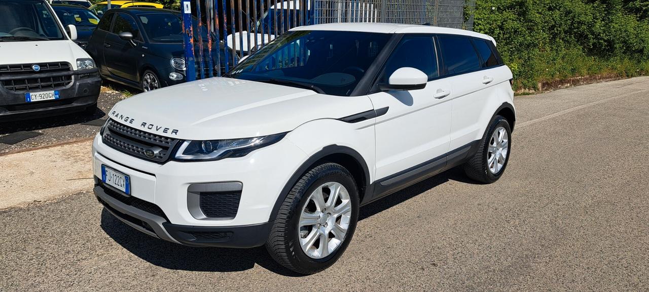 Land Rover Range Evoque 2.0 TD4 150 CV 5p. Business Edition SE