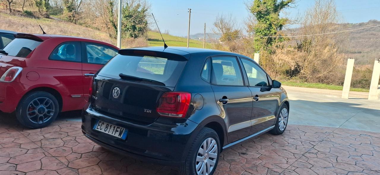 Volkswagen Polo 1.6 TDI 90CV DPF 5 porte Comfortline