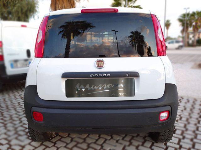 FIAT Panda 1.2 Van 2 posti AUTOCARRO +IVA