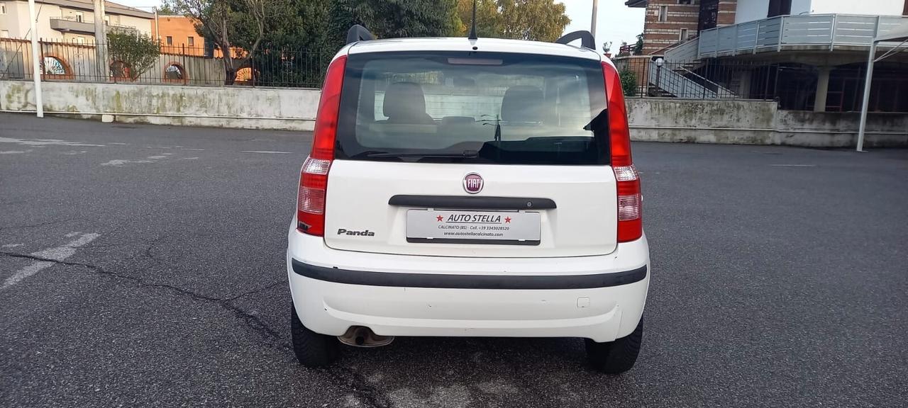Fiat Panda Benzina cc. 1.242 5 Porte Utilizzabile anche per i Neopatentati.