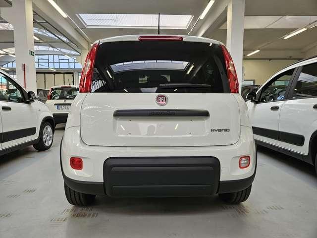 Fiat Panda Panda 1.0 Hybrid 70CV