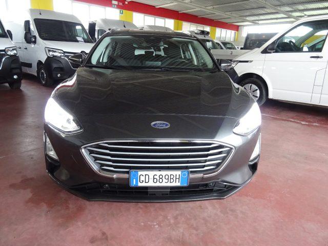 FORD Focus 1.5 EcoBlue 120 CV automatico SW Business Co-Pilot