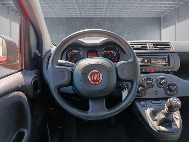 FIAT Panda 3ª serie 1.0 FireFly S&S Hybrid
